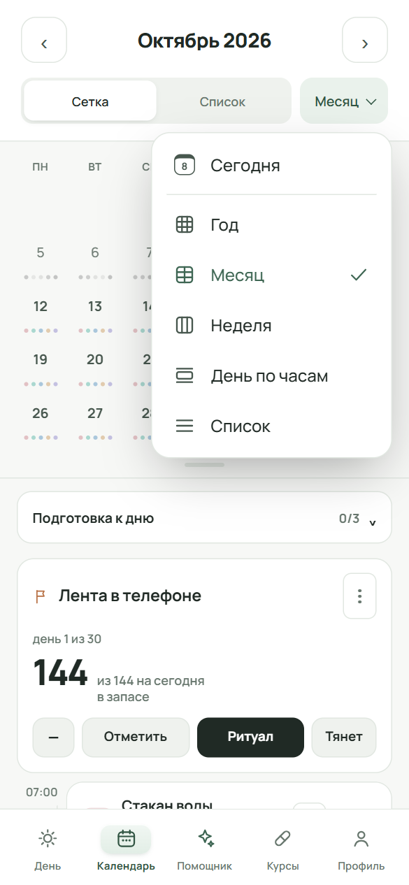 Список видов календаря: «Сегодня», «Год», «Месяц» (отмечен), «Неделя», «День по часам», «Список».