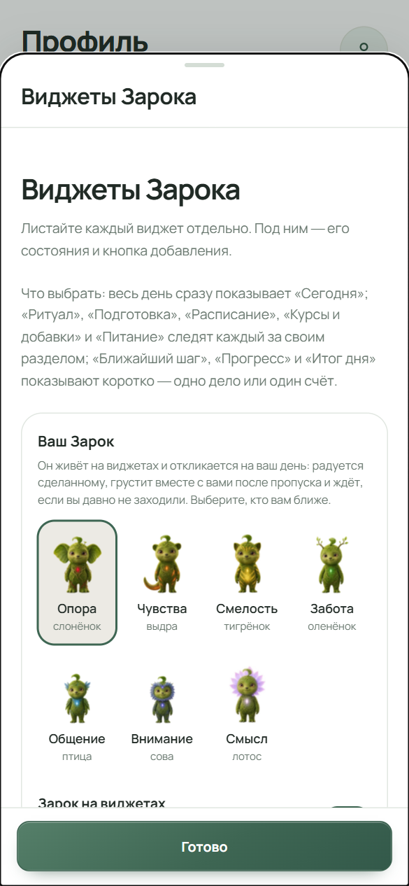 Экран «Виджеты Зарока» в приложении: вверху текст и блок «Ваш Зарок» с семью формами, ниже переключатели и оформление